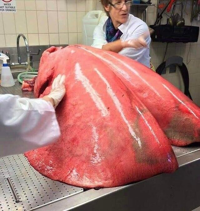 Интересные  кадры со всего мира