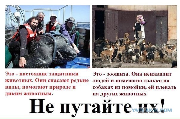 Звериный оскал зоозащиты