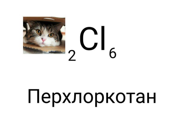 Химические котоэлементы