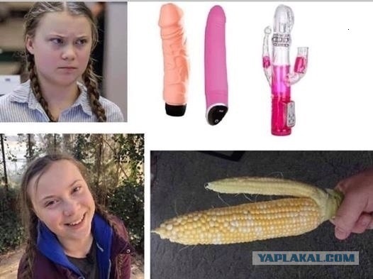 Ударим фотожабой по Грете Тунберг