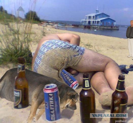 Фотожаба: О чем же думает собака?....