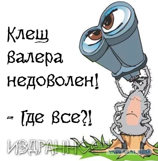 Вот это поворот!