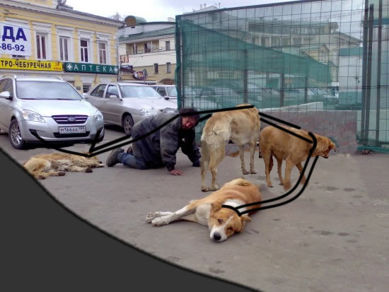 Лучший друг человека.... или наоборот!?