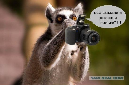 Сижу вот,отдыхаю
