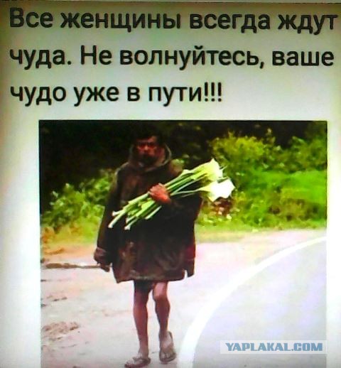 Фотки и картинки: юморные и красивые, забавные и милые 19.10.20