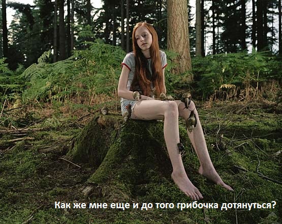 Простое человеческое счастье в картинках