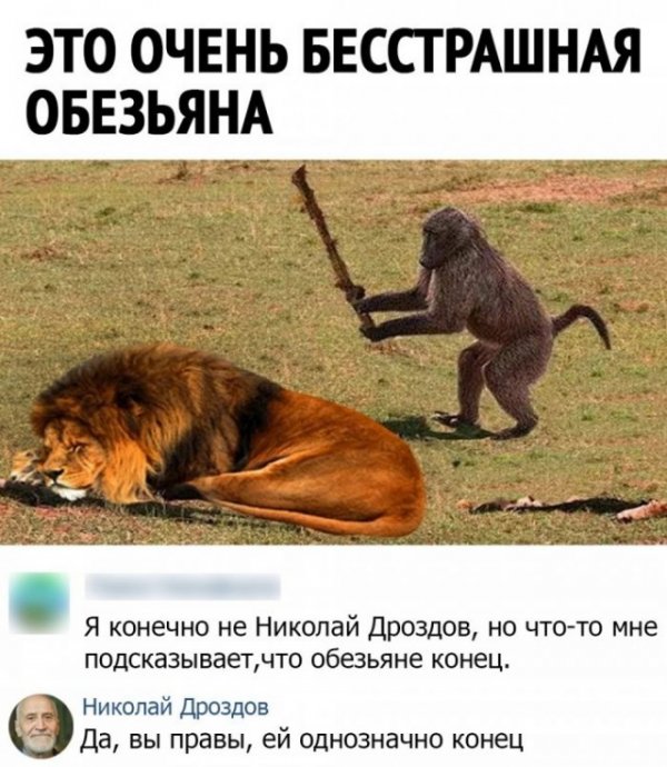 Прикольные и просто красивые картинки 19.11.2020