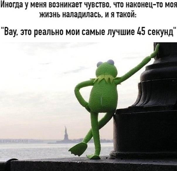 Веселые истории о нас №237