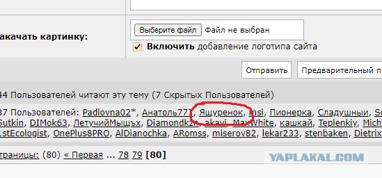Как быть виноватой всегда и во всем - инструкция