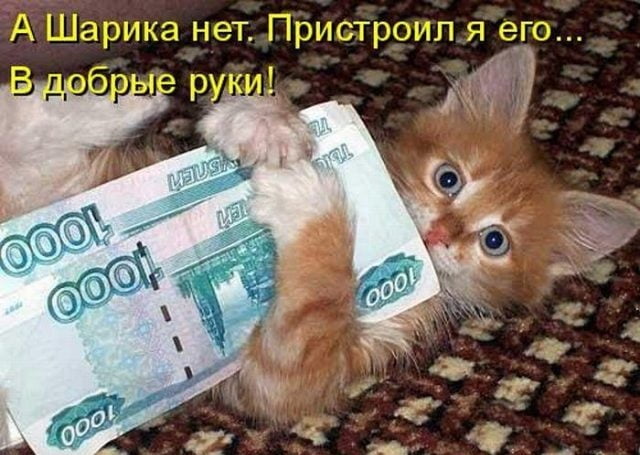 Бредзона 27.02.21