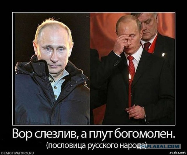 Насохранял