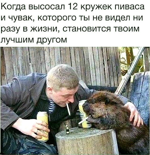 Воскресные картинки
