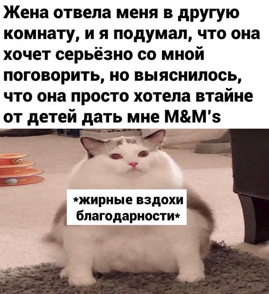 Здесь будет Петербург
