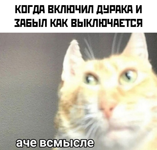 Новогодние и разные картинки