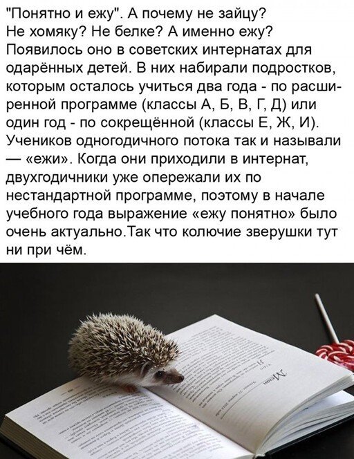 Прикольные и просто красивые картинки 27.04.2022