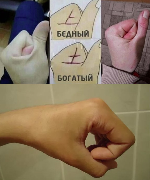 Весёлый полтишок 18.08.22