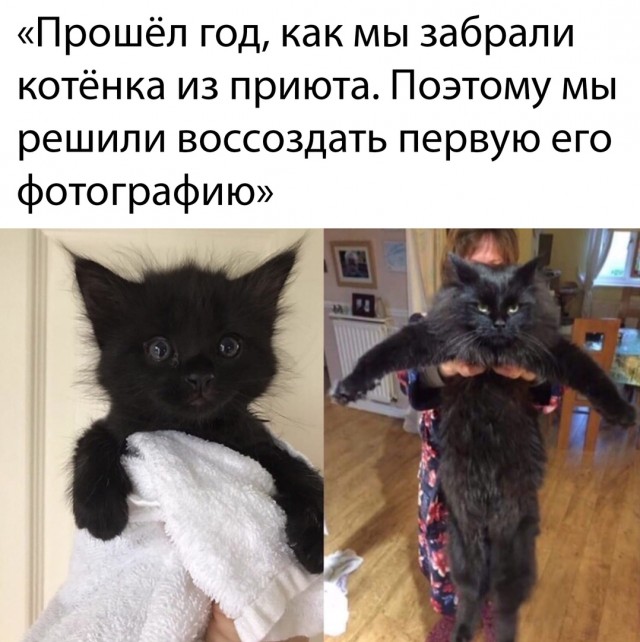 Немного картинок."Колбасный ветер". Август