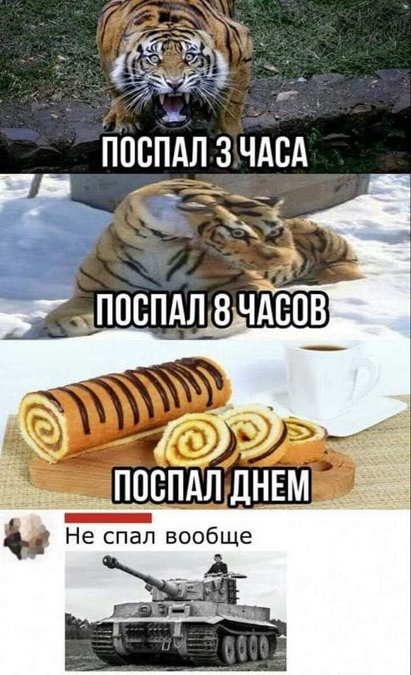Картинки и мемы для настроения - 31