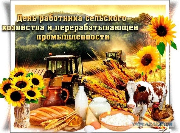 Пандемия съехавших крыш - разновидности болезни. Россия и мир. Часть 43.