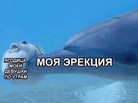 Деградация лайт 14.10.2022