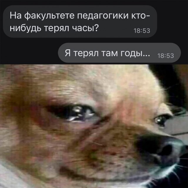 Картинки с надписями для поднятия настроения