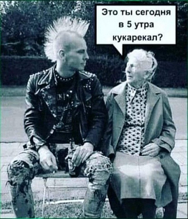 Вторничные веселые картинки с просторов Сети