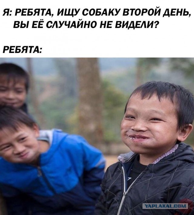 Обращение к зоофилам и прочим. Накипело (18+)
