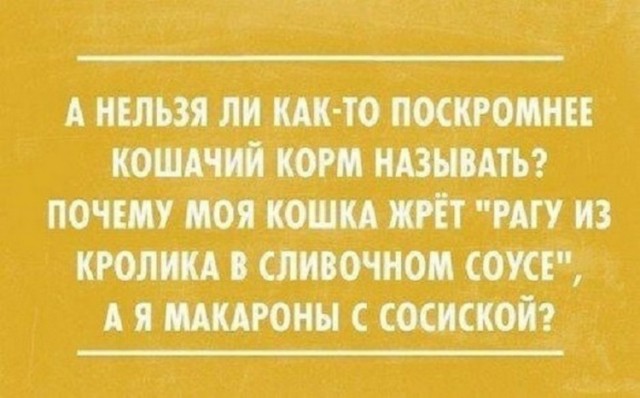 Немного картинок для настроения - 177