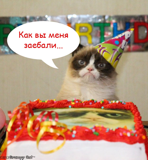 День рождения у Grumpy Cat