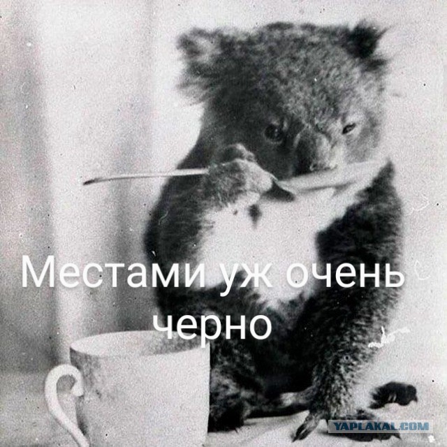 Народная меДИЧина 1021