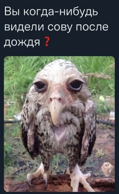 Так себе картинки 20.06.23