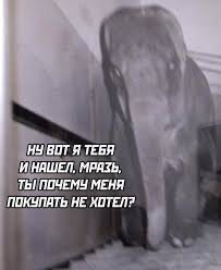 Так себе картинки 21.07.23