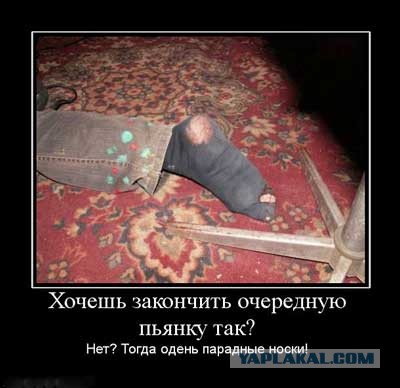 8 картинок с подписями, коллеги!