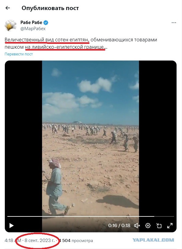 Простые египтяне пересекают палестинскую границу, чтобы доставить воду, еду и припасы жителям Газы