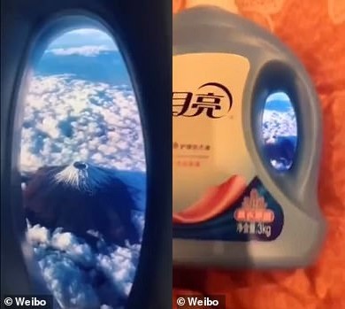 Как он делает крутейшие снимки, не прибегая к дичайшему фотошопу