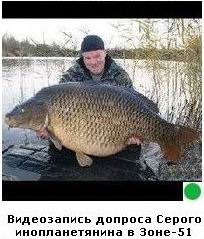 Автодемотиватор на ЯПе