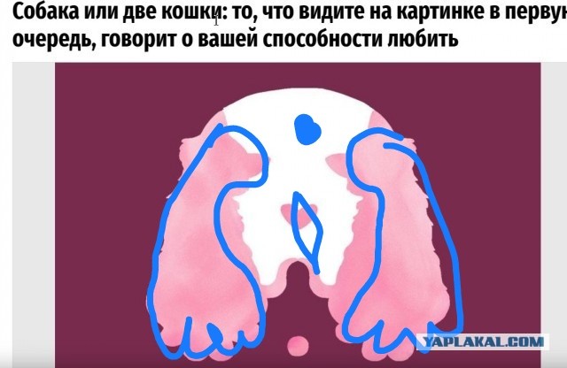 Так себе картинки 17.01.24