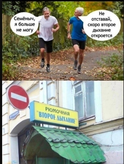 Показывайте кота!