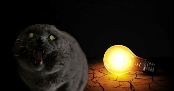 Слонотяп-2. Читайте, голосуйте