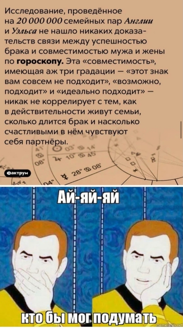 Весёлый полтишок 11.11.24