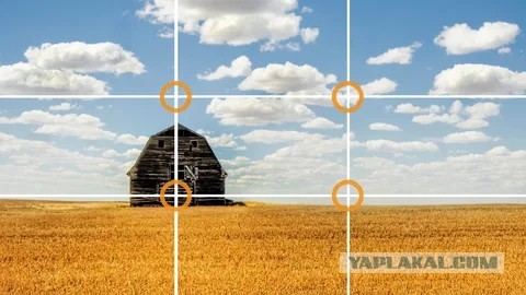 Моя идеальная фотография