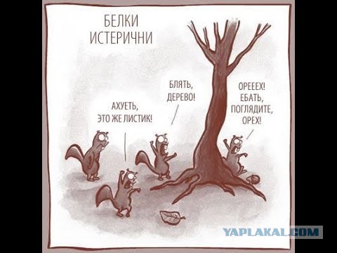 Цифровой рубль