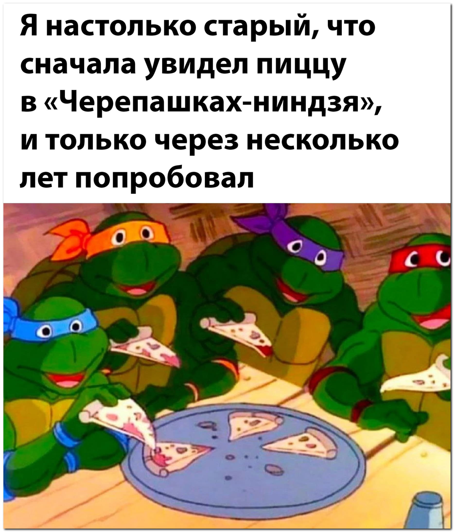 Черепашки…⁠⁠