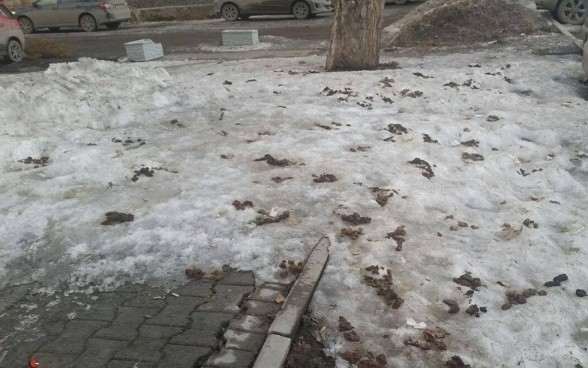 Янтарная посыпка дорог в Калининграде.