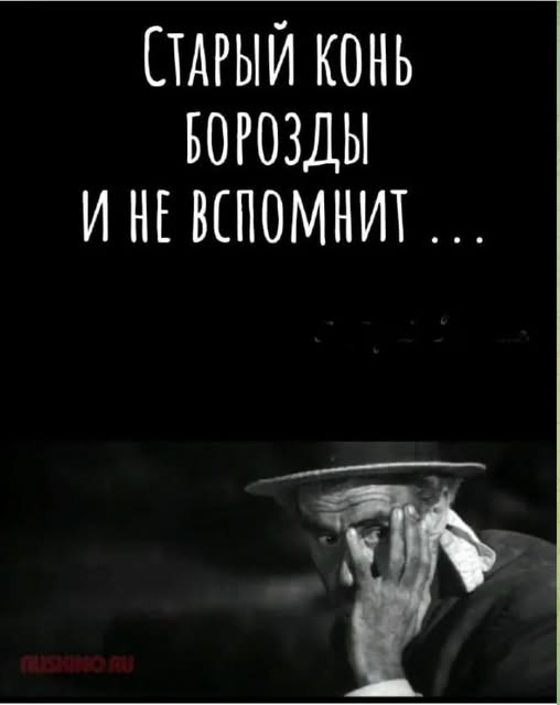 Веселые картинки в пятницу (20.02)