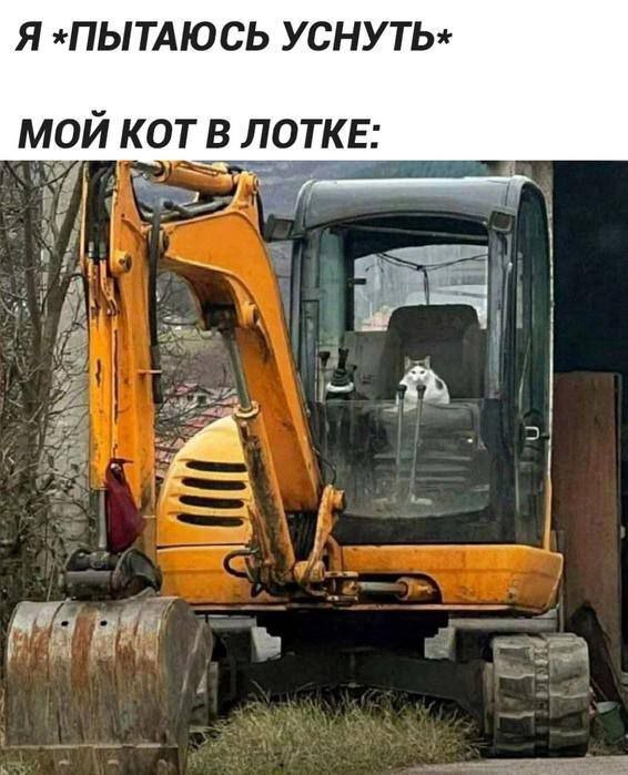 Картиночки, баянчики 12 марта