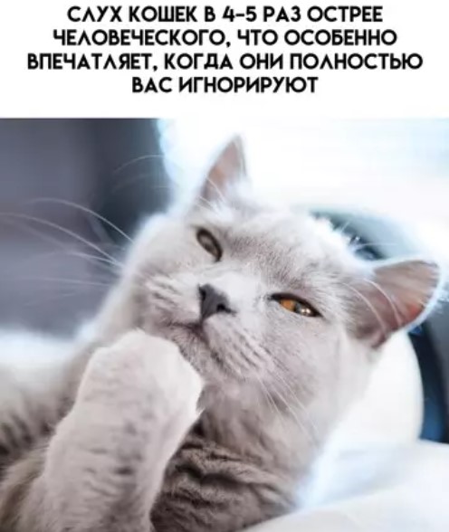 Картиночки, баянчики 15 марта