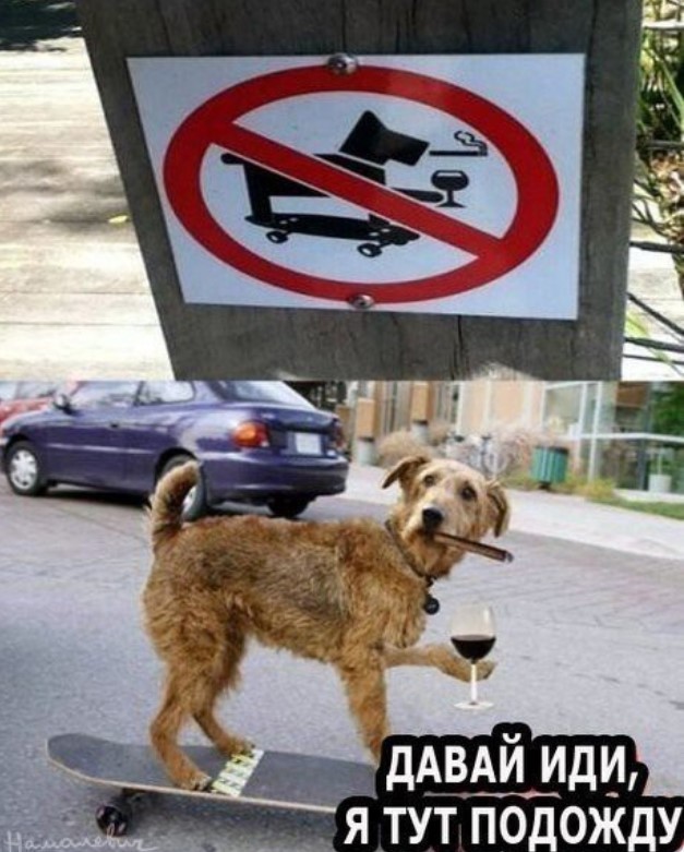 Картиночки, баянчики 26 апреля