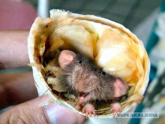 Студентка из Питера вернулась домой