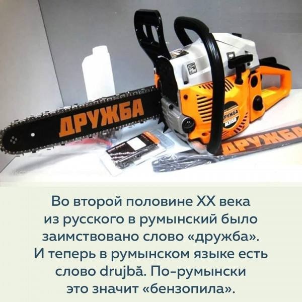 Когда дерево упало на дорогу.
